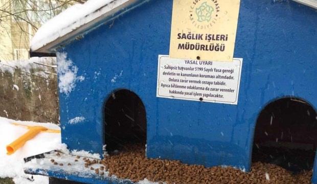 Sokak hayvanları için yiyecek bırakıldı