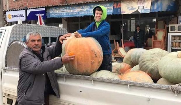 Görenler inanamadı! Bir tanesi köyü doyuruyor