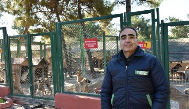 Sokak hayvanlarının bakımı hayvanat bahçesinden
