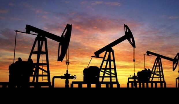 Türkiye'den maden ve petrol için önemli hamle!