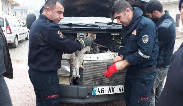Minibüsün motoruna sıkışan kedi kurtarıldı