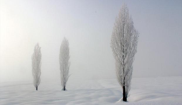 Doğu Anadolu'da kar yağışı ve soğuk hava