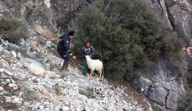 Burdur'da kayalıklarda mahsur kalan gebe keçi kurtarıldı