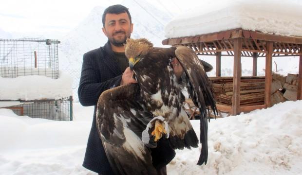 Yaralı kartal acısını imamdan çıkardı!