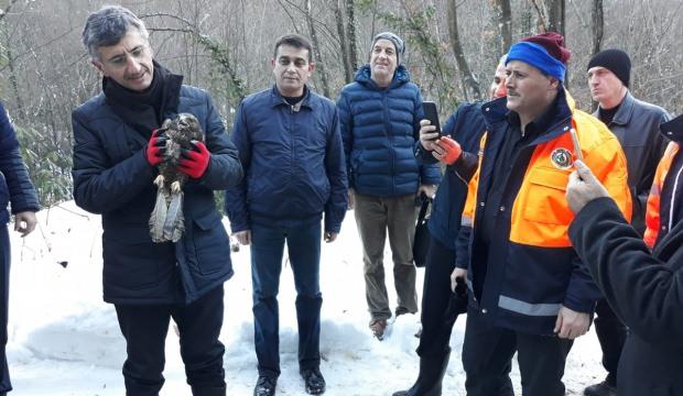 Vali Erdoğan Bektaş, Harmankaya Şelaleleri'ni  gezdi