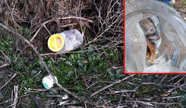 Kan donduran olay! Plastik bidonun içinden çıktı