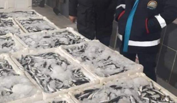 Samsun'da "boy yasağı"na uymayan balıkçılara ceza