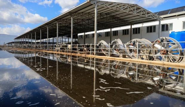 İzmir'de rekor yağış tarım arazilerini göle döndürdü
