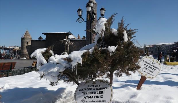 Doğu Anadolu'da buzlanma, don ve çığ uyarısı