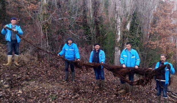 Su borusundan 8 metre ağaç kökü çıktı