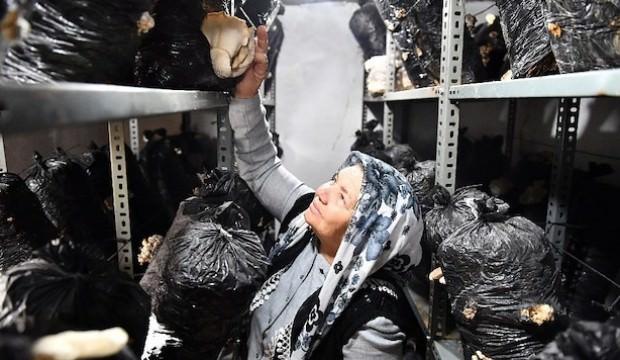 İsmini bile bilmiyorlardı, şimdi talebe yetişemiyorlar