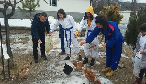 Çubuk'ta öğrenciler atıklarla tavuk besliyor