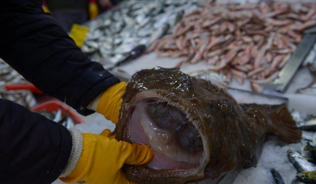 Karadeniz'de balıkçıların ağına fener balığı takıldı