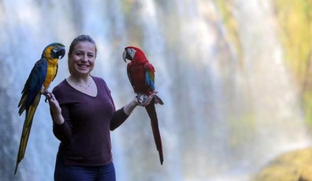 Şelaledeki papağanlara turist ilgisi
