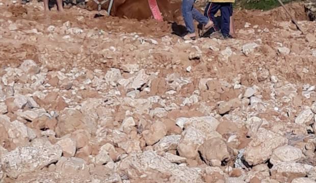 Cizre'de çamura saplanan ineği itfaiye kurtardı