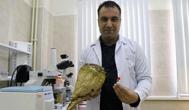 "Bakteriler çalışacak, Türk tarımı kazanacak"