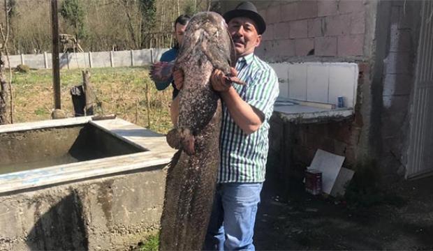 Görenler şaşkınlığını gizleyemedi! İlk kez böylesini yakaladı