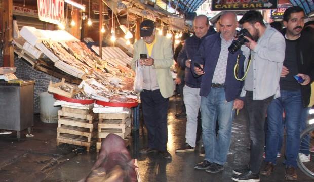 Mersin'de yakalandı! Fotoğraf çekmek için sıraya girdiler