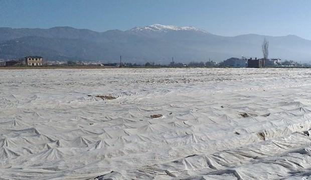 İzmir'de ilginç görüntü! Hepsini örtüyle kapattılar