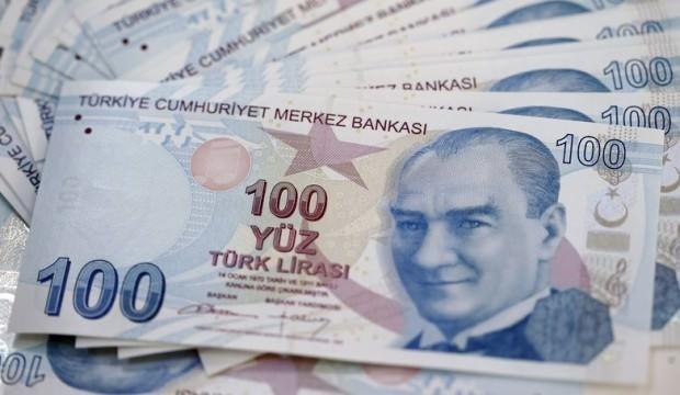 Orman zararlılarıyla mücadele için 8 milyon lira harcandı