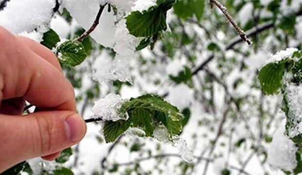 Meteoroloji uyardı! Kuvvetli geliyor
