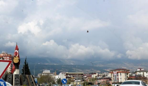 Görenler şaşkına döndü! Şehri kelebekler bastı