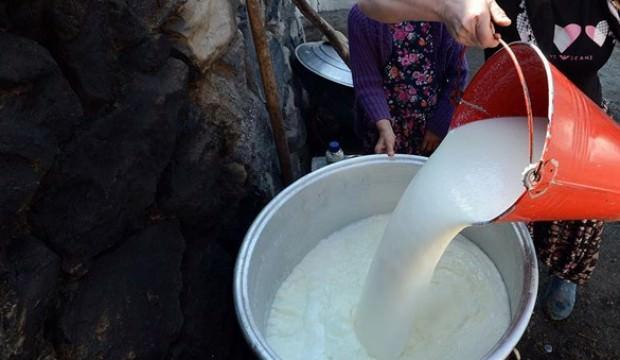 Toplanan inek sütü şubatta azaldı
