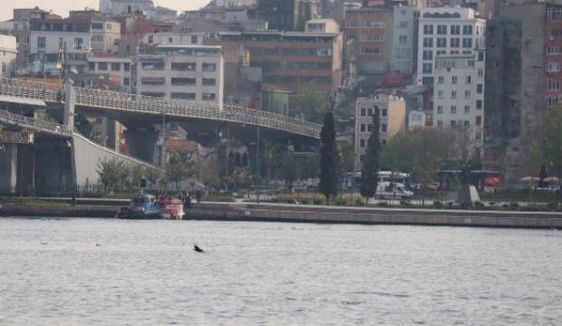 Haliç'te düşen kişiyi deniz polisi kurtardı