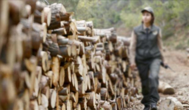 Ogm Orman Muhafaza Memuru Alimi Basvuru Tarihi Ne Zaman Guncel Haberleri