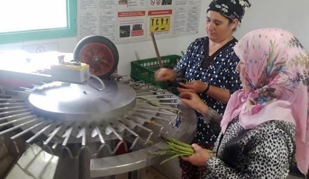 Bunu yapmak için kariyerini bıraktı! Talep patladı...