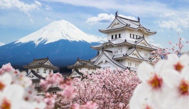 Bakanlardan Japonya'ya ekonomik çıkarma!