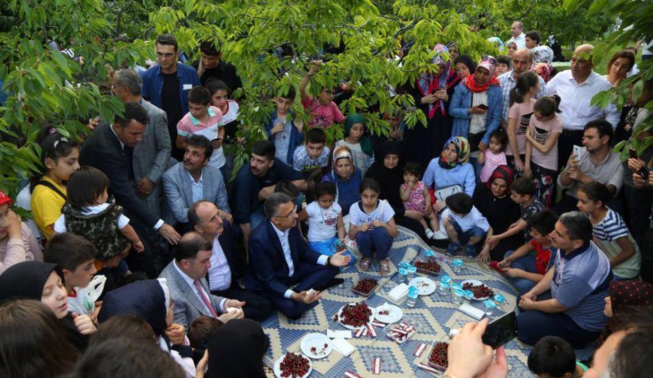 Bağcılar Belediyesi'nin Kiraz Bahçesi’nde 11. Kiraz Hasadı faaliyeti!