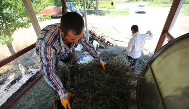 Kendisi de yağı da çok kıymetli! Litresi 120 euro