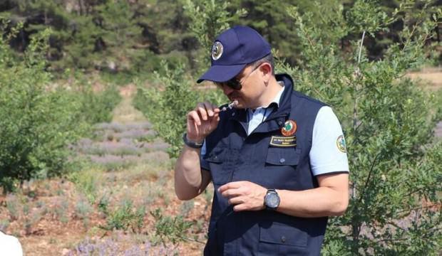 Bakan Pakdemirli’den lavanta hasadı
