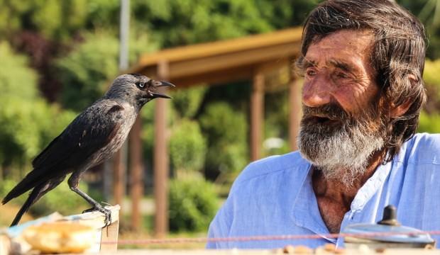 salatalik satin alma devre disi birakmak icin ruyada karganin corap tasidigini gormek istanbulistatistik com