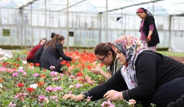 Çiftçiye alım garantili “süs bitkisi” desteği