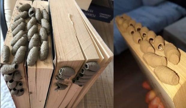 Kitaplarınızı hava almayan yerde duruyorsa dikkat edin