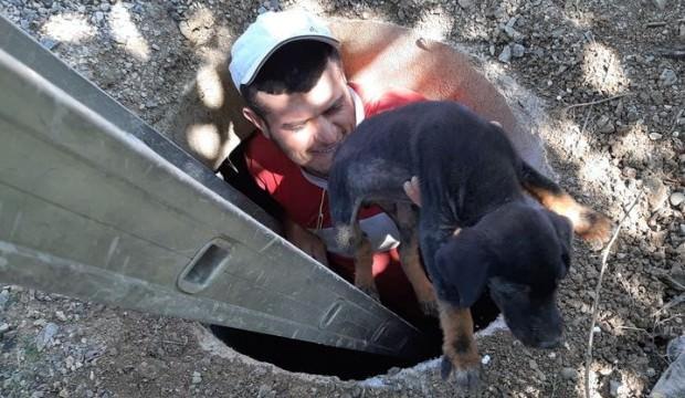 Rögara düşen köpek çocukların dikkati sayesinde kurtarıldı