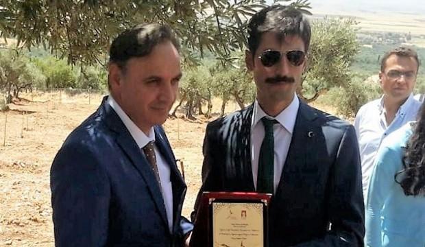 Türk zeytinyağına İngiltere'den ödül