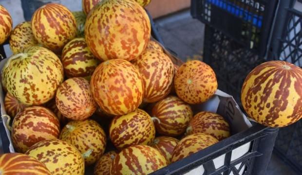 Bu kavunlar yok satıyor! Yemek için değil, kokusu...