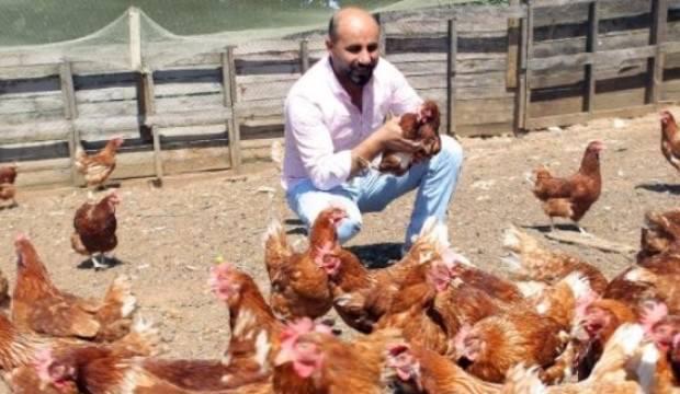 Dugunde Duydugu Fikirle Tavuk Ciftligi Kurdu Son Haberler Milliyet