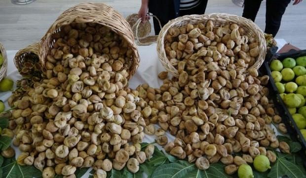 Kuru incirde 3 günde 22 milyon dolarlık ihracat