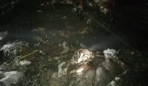 Ahır yangınında 120 küçükbaş hayvan öldü