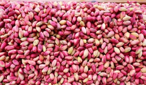 Rekolte düşüklüğü cep yakıyor: Kilosu 15 liradan 50 lira çıktı
