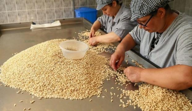 Altınla yarışıyor! Verimi düştü fiyatı uçtu