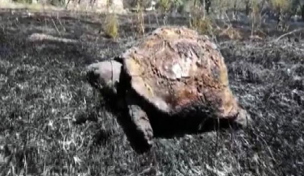 İtfaiyenin merhameti kamerada!