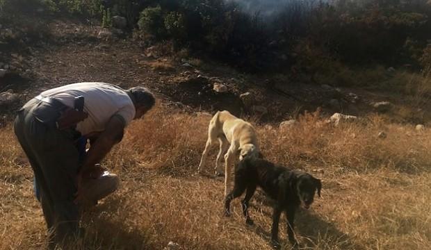 Makilik alanı ateşe verdi: Ekipler suçüstü yakaladı