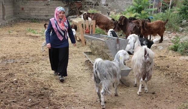 17 bin lirayla başladı: Siparişlere yetişemiyor