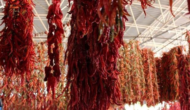 Tazesi 10 Kurusunun Kilosu 100 Liradan Satiliyor Ekonomi Haberleri