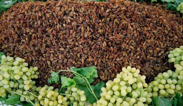 TMO'dan çekirdeksiz kuru üzümde 10 bin tonluk alım